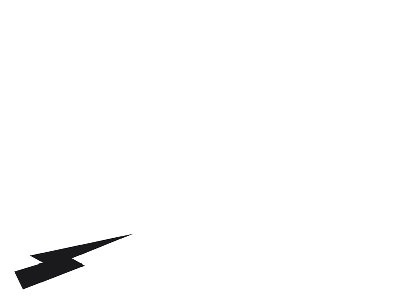 The Revivals Band